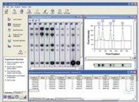 Bild von DNA-Analysesoftware Phoretix 1D Pro