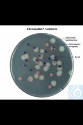 Bild von Chromo Coliform Agar, 500 g Ein selektives und differentielles chromogenes