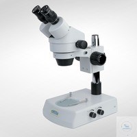 Bild von Stereo Zoom Mikroskop mit Auf- und Durchlicht. Okulare: 10x Weitfeldokulare mit