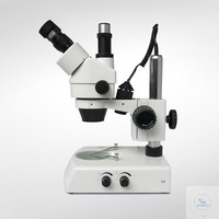 Bild von Stereo Zoom Mikroskop mit Auf- und Durchlicht. Trinokular Okulare: 10x