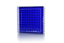 Bild von Kryo-Lagerbox für 100 Gefäße, blau