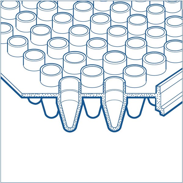Bild von 96-Well-PCR-Platte, Semi-Skirted, mit erhöhten Wells, Corning-Style