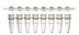 Bild von 0,2 ml 8er-PCR-Gefäßstreifen, Low-Profile und 8er PCR-Deckelstreifen, flach, natur, Xtra-Clear, Combi-Pack