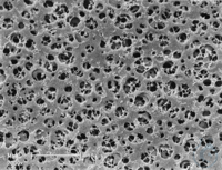 Bild von CAMembran, 0,8µm, 13mm, 100pc, Cellulose Acetate Membrane Filters / Type 11104