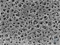 Bild von CA Membrane, 0.8µ, 50mm, 100pk, Cellulose Acetate Membrane Filters / Type 11104