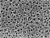 Bild von CAMembran, 0,45µm, 25mm, 100pc, Cellulose Acetate Membrane Filters / Type 11106