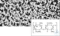 Bild von CN membrane, 8 µm, 13 mm, 100 pcs, Cellulose Nitrate (Mixed Cellulose Ester) Mem