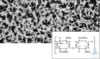 Bild von CN, white - black, sterile, 0.8µm, Cellulose Nitrate (CN) Membrane Filter
