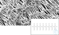 Bild von PTFEMembran, 1,2µm, 47mm, 100pc, Hydrophobic PTFE Membrane Filters / Type 11803