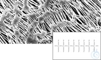 Bild von PTFEMembran, 5µm, 142mm, 25pc, Hydrophobic PTFE Membrane Filters / Type 11842