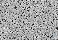 Bild von PESMembran, 0,45µm, 100mm, 100pc, Polyethersulfone Membrane Filters - Type 15406