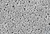 Bild von PESMembran, 0,2µm, 47mm, 100pc, Polyethersulfone Membrane Filters - Type 15407-